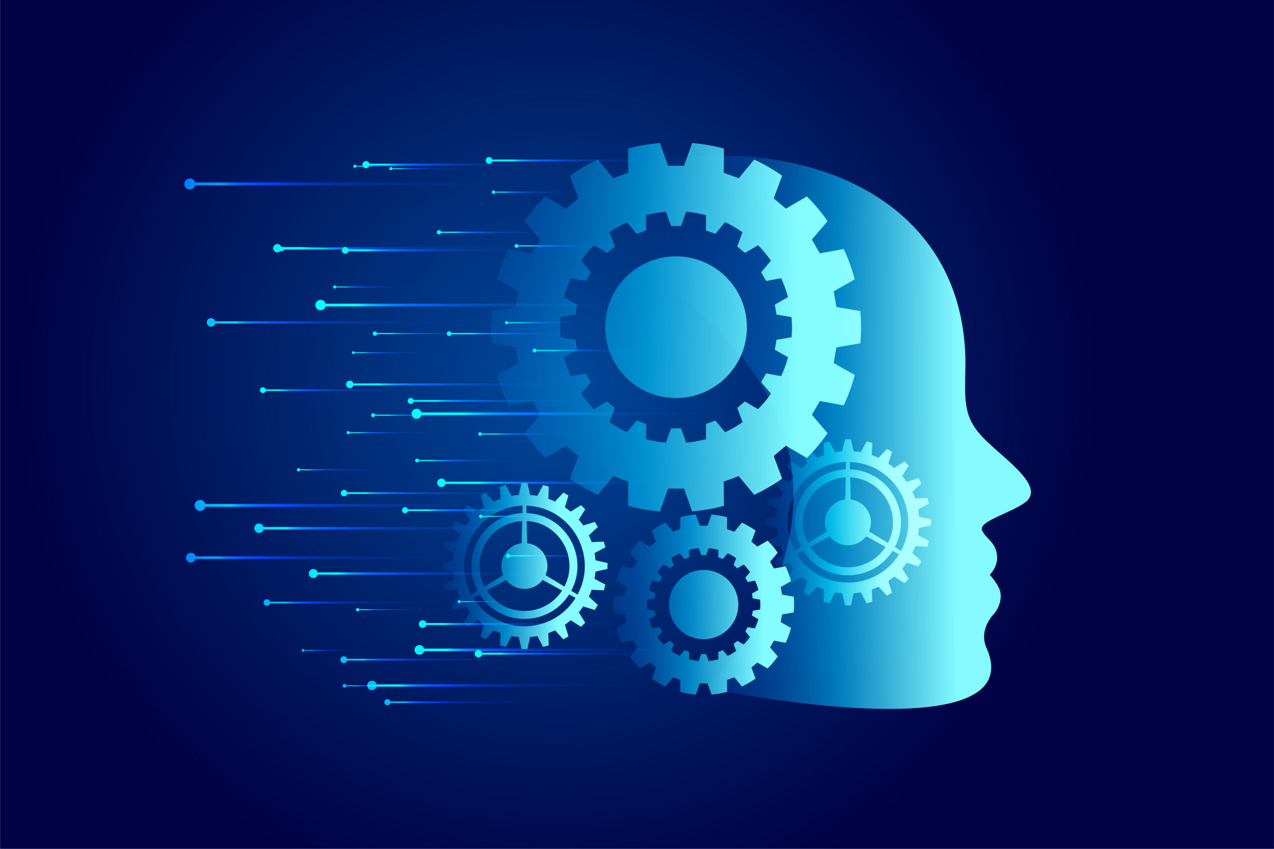 Accompagnement stratégique pour développer une entreprise en ligne